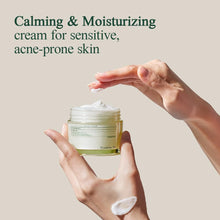 Load image into Gallery viewer, Pyunkang Yul Calming Moisture Barrier Cream 50ml
